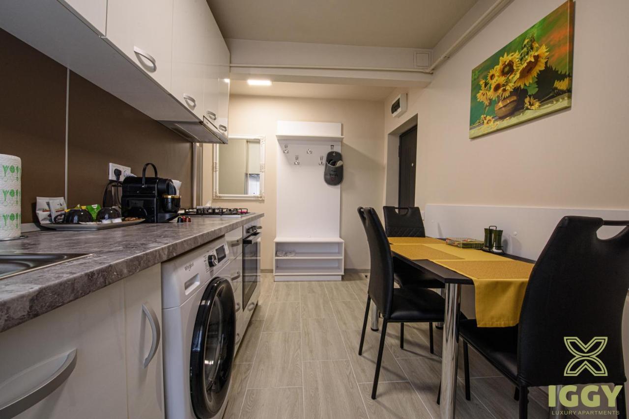 Iggy Luxury Apartment Хунедоара Екстериор снимка