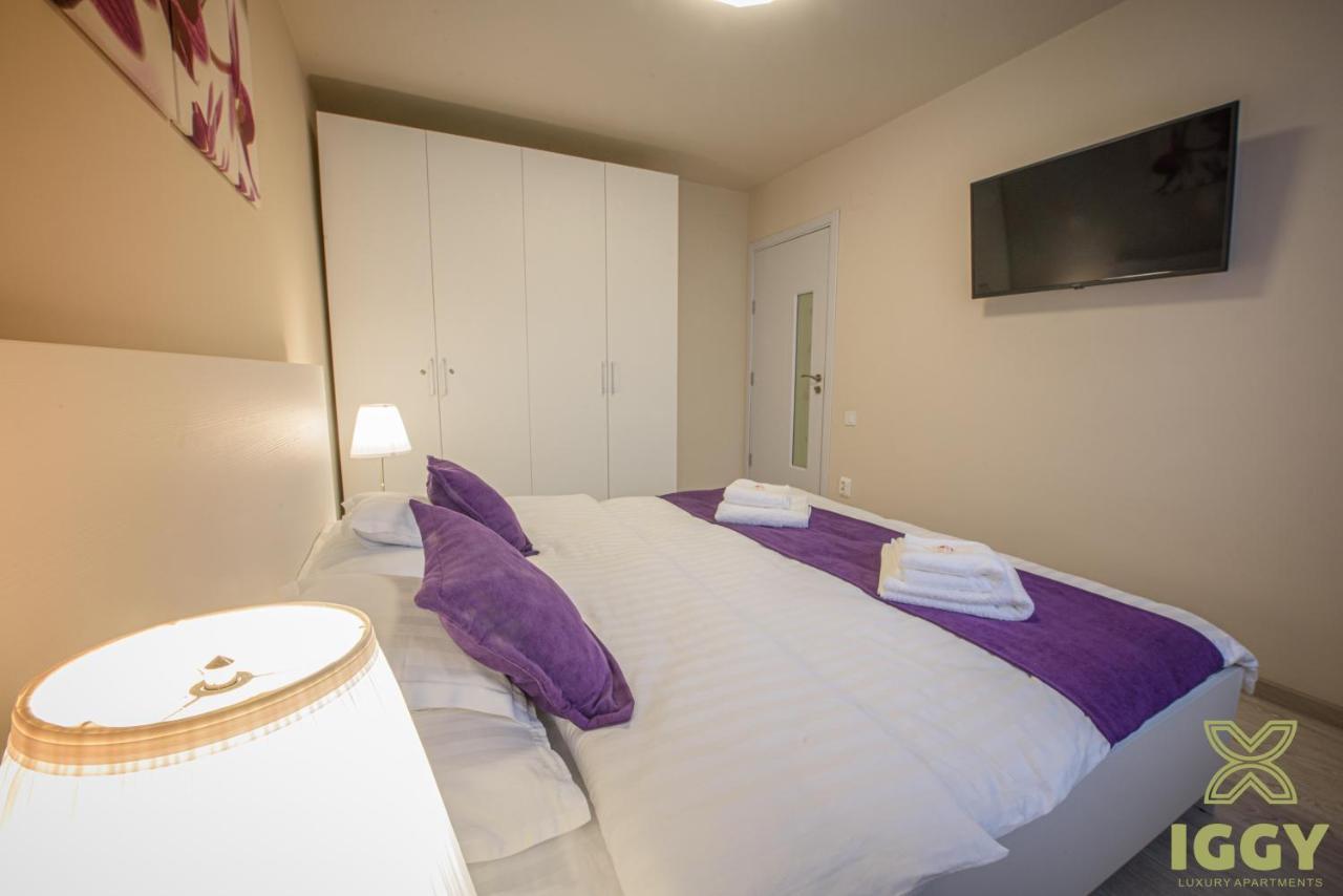 Iggy Luxury Apartment Хунедоара Екстериор снимка