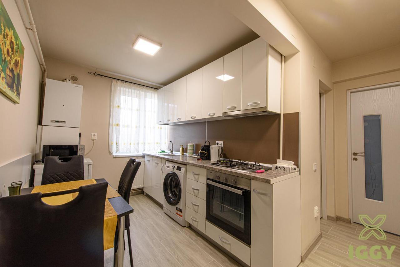 Iggy Luxury Apartment Хунедоара Екстериор снимка
