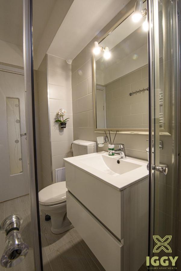 Iggy Luxury Apartment Хунедоара Екстериор снимка